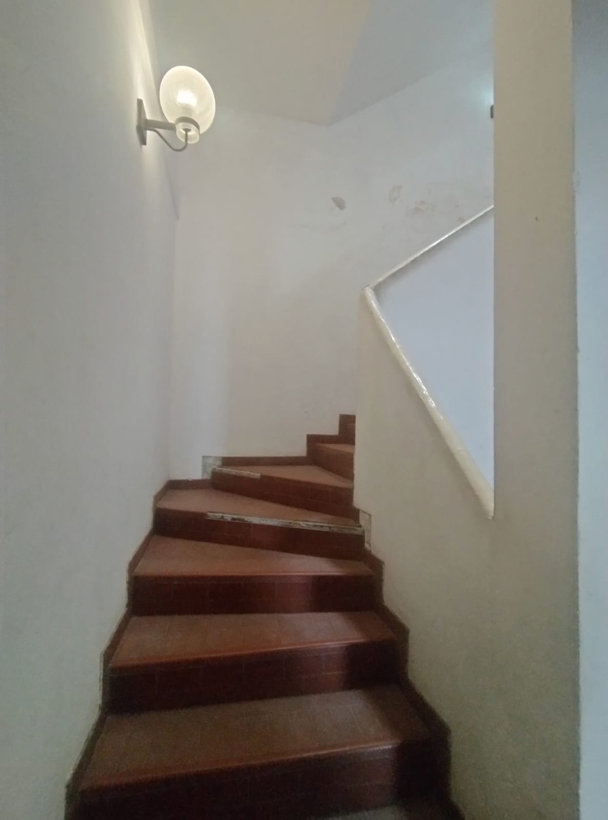 WhatsApp Image 2025-01-28 at 10.32.03 (3)
