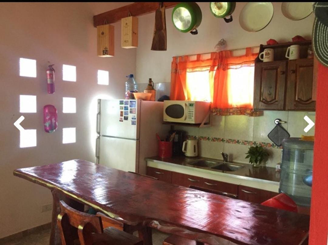 480870654_1147460207048182_3964834536043758733_n