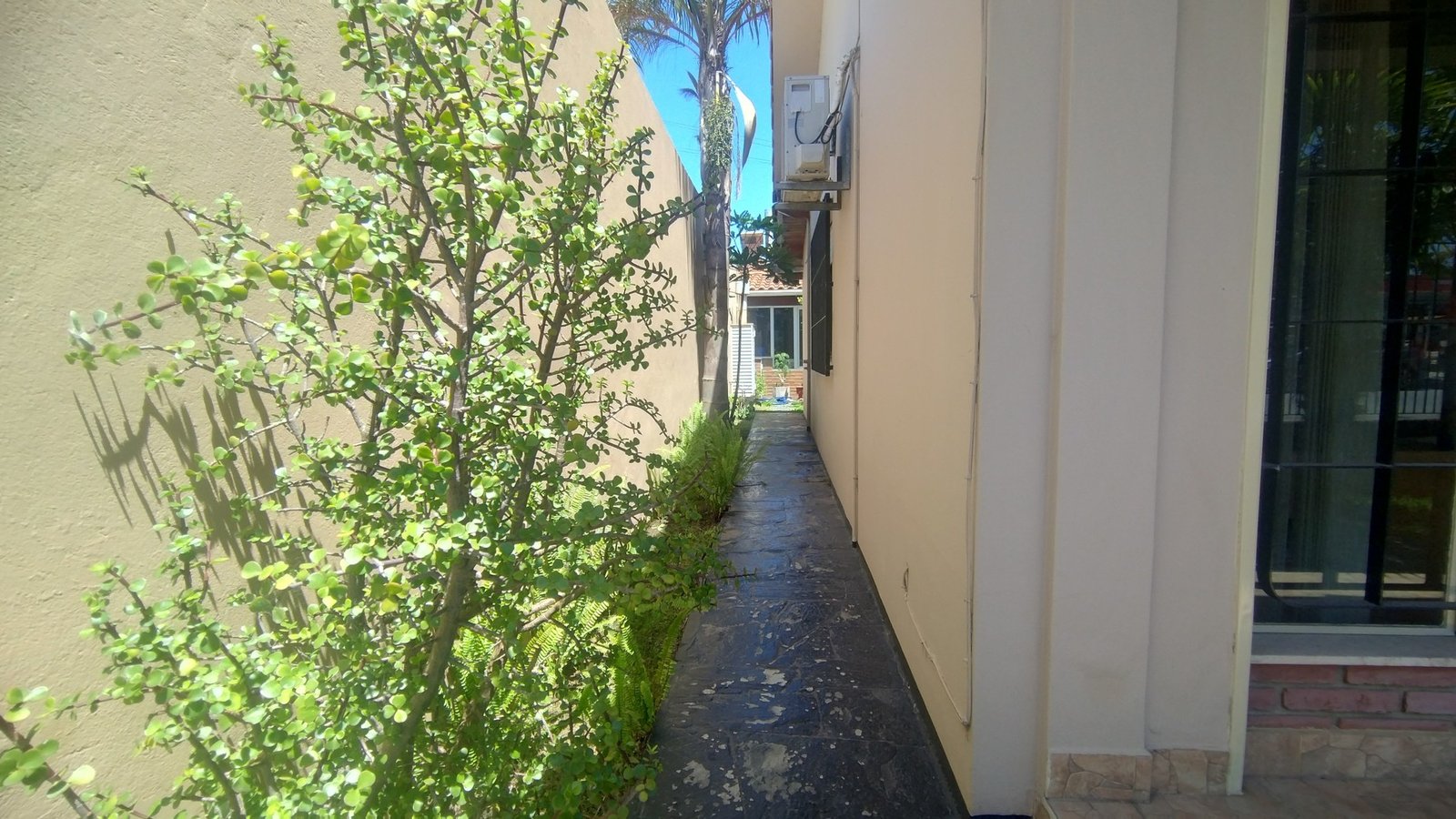 586840435_1355414252919442_7559505567532454253_n