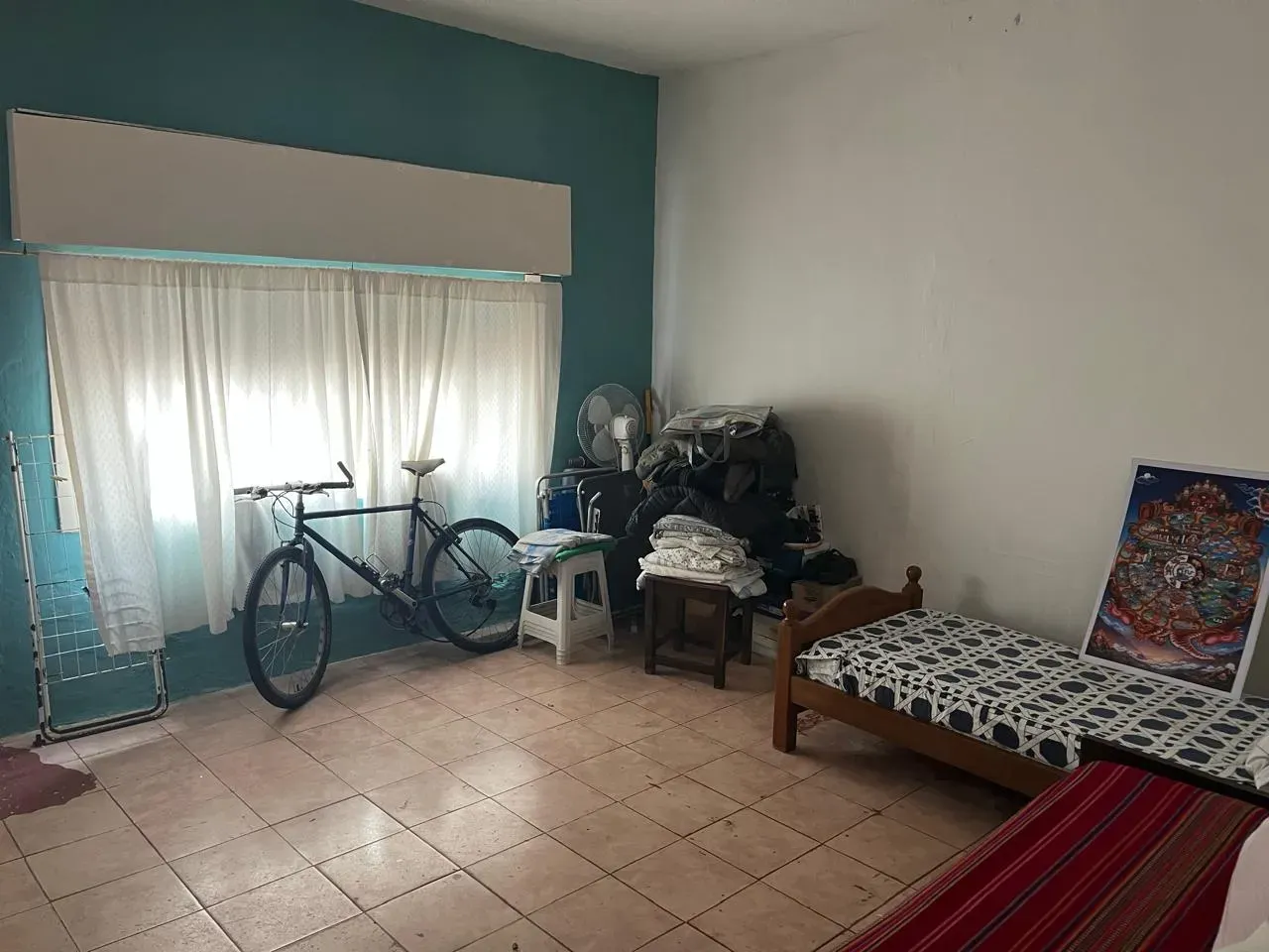 D_NQ_NP_884646-MLA109311387656_042026-OO