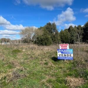 Hermoso Lote En Paraje Pavón
