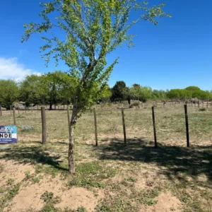 Lote De 1000 M En Barrio San Rafael